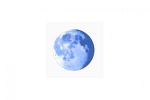 Palemoon logo