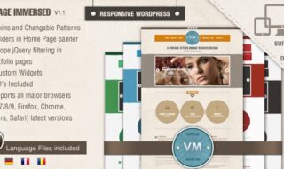 Free wordpress premium theme