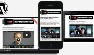 codecanyon youtube plugin