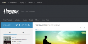 hueman best wordpress theme