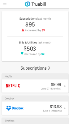 save netflix money